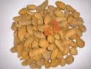 Curcuma Extract